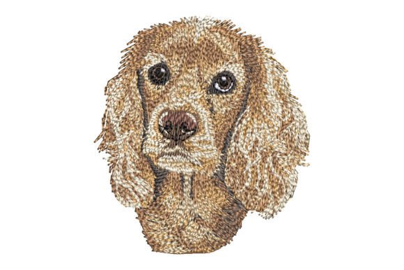 Cocker Spaniel